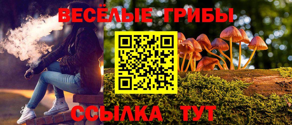 Галлюциногенные грибы мухоморы Элиста